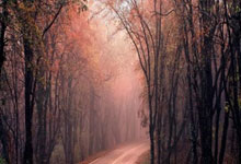 科尔多瓦对阵卡塔赫纳谁能赢？这场西乙对决有哪些关键看点？