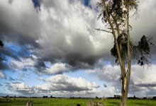 中国男足对阵新西兰男足的直播哪里看？比赛有哪些看点？